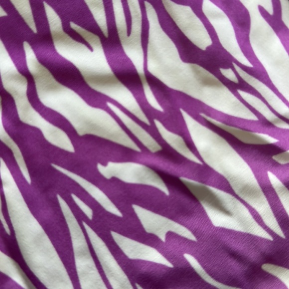 Tasteful Girl Zebra Rave Set - Picture 3 of 4